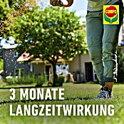Compo Rasendünger Unkraut + Moos Komplettpflege (Max. Anwendungsfläche: 300 m²) | BAUHAUS