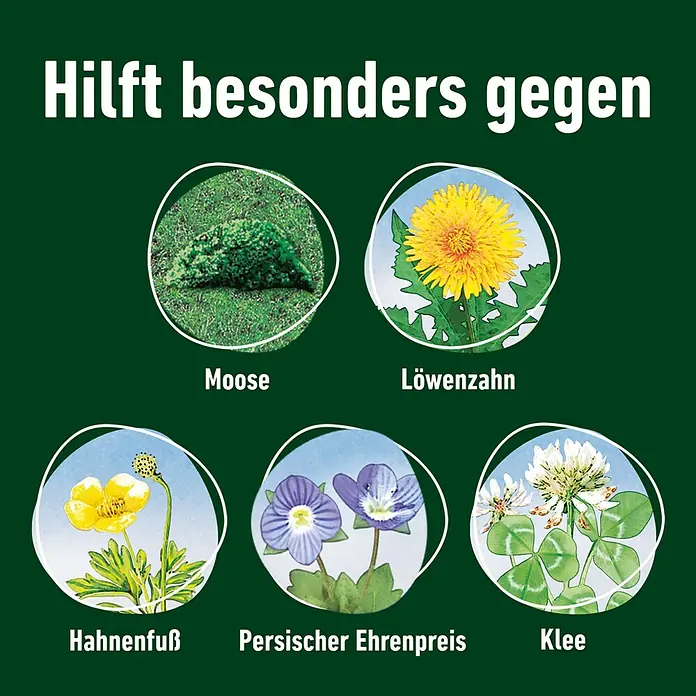 Compo Rasendünger Unkraut + Moos Komplettpflege - 9 kg, Max. Anwendungsfläche: 300 m² - Liste von Unkräutern und Moos, gegen die das Produkt besonders wirksam ist: Moos, Löwenzahn, Hahnenfuß, Persischer Ehrenpreis und Klee.