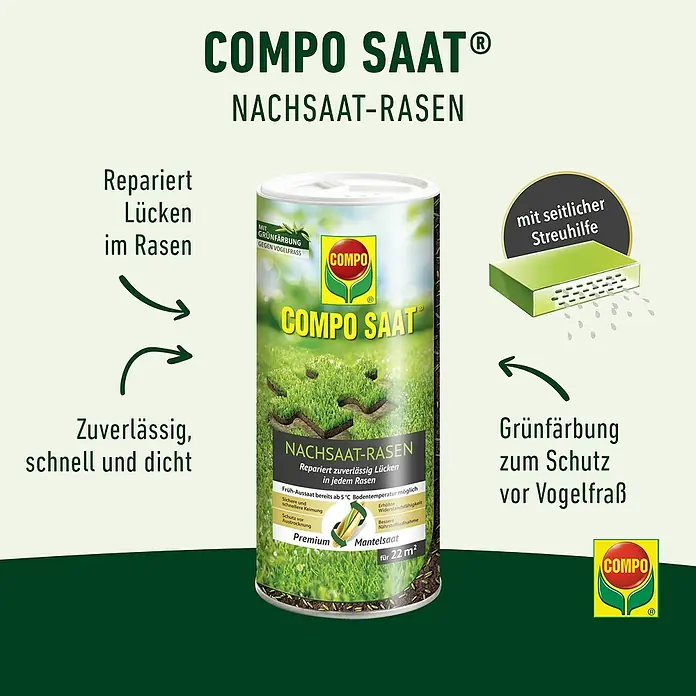 Compo Rasensamen Nachsaat-Rasen - 0,44 kg, 22 m² - Grün-weiße Dose COMPO SAAT Nachsaat-Rasen, mit Grünkörnung gegen Vogelfraß und seitlicher Streuhilfe.