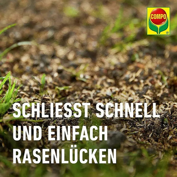 gurke saatgut gewinnen Bio-Saatgut  Trendbox