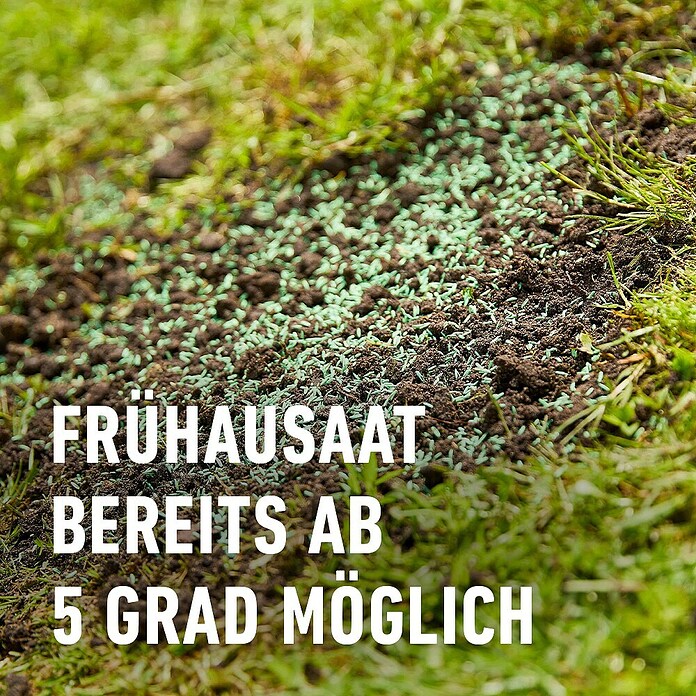 Compo Rasensamen Nachsaat-Rasen (2 kg, 100 m²) | BAUHAUS