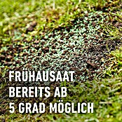 Compo Rasensamen Nachsaat-Rasen (2 kg, 100 m²) | BAUHAUS
