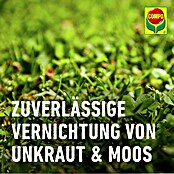 Compo Rasendünger Unkraut + Moos Komplettpflege (Max. Anwendungsfläche: 300 m²) | BAUHAUS