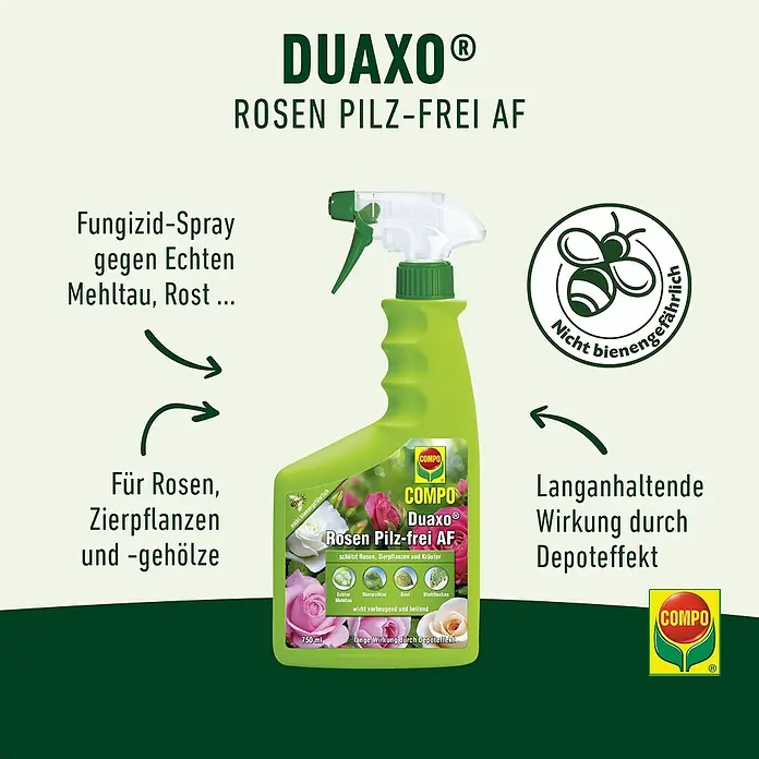 Compo Rosen- & Zierpflanzen-Pilzfrei Duaxo AF - 750 ml - Grüne Sprühflasche COMPO Duaxo Rosen Pilz-frei AF Fungizid für Pflanzen.