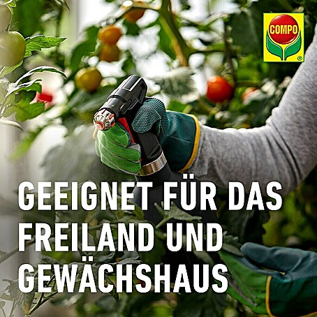bertpfe fr zimmerpflanzen keramik Keramik bertopf Olive fr Zimmerpflanzen