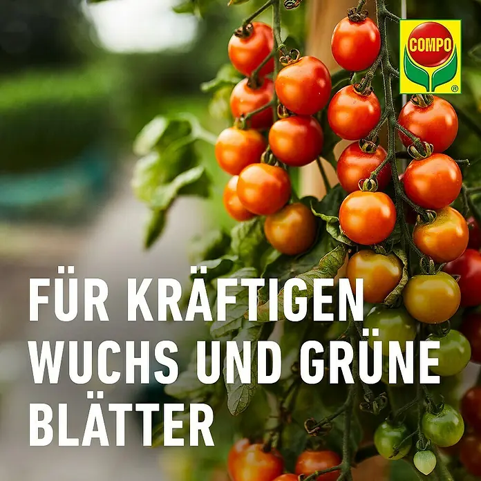 Compo Pilzfrei Revus® - 20 ml - Gesunde Kirschtomatenpflanze mit roten und orangen Früchten und kräftigen grünen Blättern, fördert starkes Wachstum.