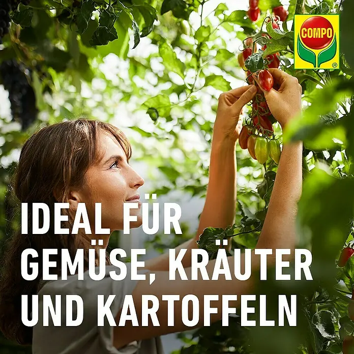 Compo Pilzfrei Revus - 20 ml online kaufen bei BAUHAUS