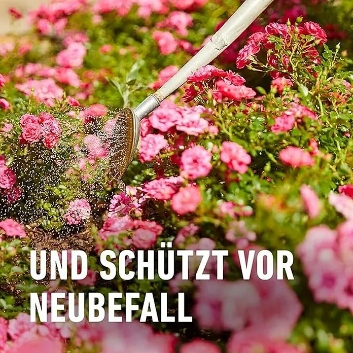 bio saatgut wiese BIO Saatgut Mischung Wildblumenwiese – Biogartenladen main image 0
