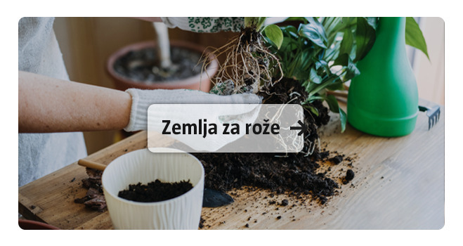 Zemlja za rože
