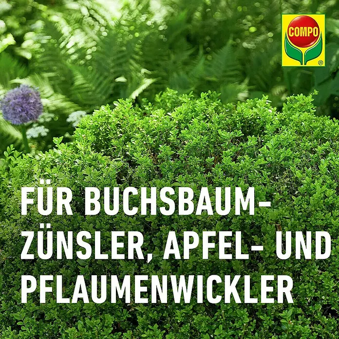 Compo Bio Trichterfalle Universal - L x B x H: 11,4 x 11,4 x 11,9 cm - COMPO Produkt gegen Buchsbaumzünsler, Apfel- und Pflaumenwickler.