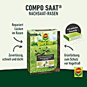 Compo Rasensamen Nachsaat-Rasen (2 kg, 100 m²) | BAUHAUS
