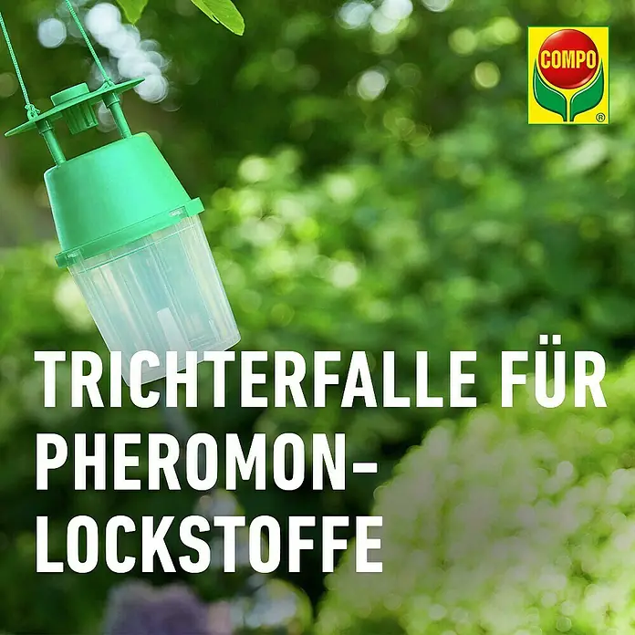 Compo Bio Trichterfalle Universal - L x B x H: 11,4 x 11,4 x 11,9 cm - Grüne und transparente Trichterfalle hängt im Garten für Pheromon-Lockstoffe.