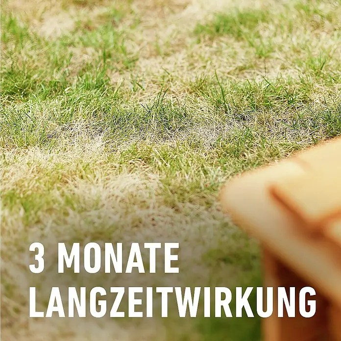 Compo Saat Rasensamen Vertikutier-Mix - 4 kg, 133 m² - Rasen mit trockenen und grünen Stellen, betont '3 Monate Langzeitwirkung' für Rasenpflege.