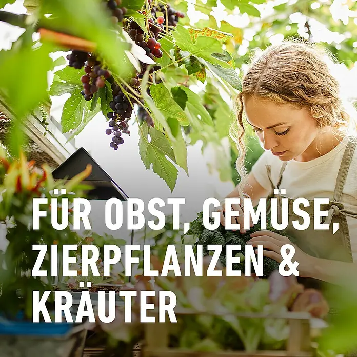 Compo Blattlausfrei Nativert® AF - 750 ml - Frau pflegt Pflanzen in einem Gewächshaus, umgeben von Obst, Gemüse und Kräutern.