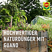 Compo Bio Universaldünger mit Guano (3 kg) | BAUHAUS