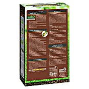 Compo Saat Rasensamen Schattenrasen (1 kg, 50 m²) | BAUHAUS