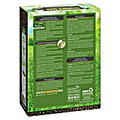 Compo Rasensamen Nachsaat-Rasen (2 kg, 100 m²) | BAUHAUS