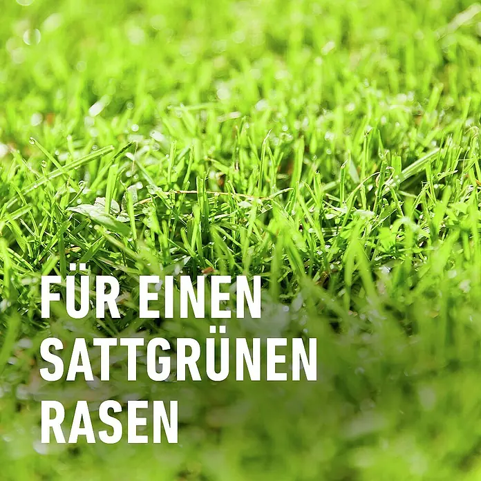 Compo Saat Rasensamen Vertikutier-Mix - 4 kg, 133 m² - Nahaufnahme von sattgrünem, taufrischem Rasen. Text: 'FÜR EINEN SATTGRÜNEN RASEN'.
