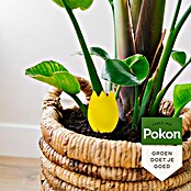 Pokon Vliegenvangers (Totaal aantal stuks: 15 st.) | BAUHAUS