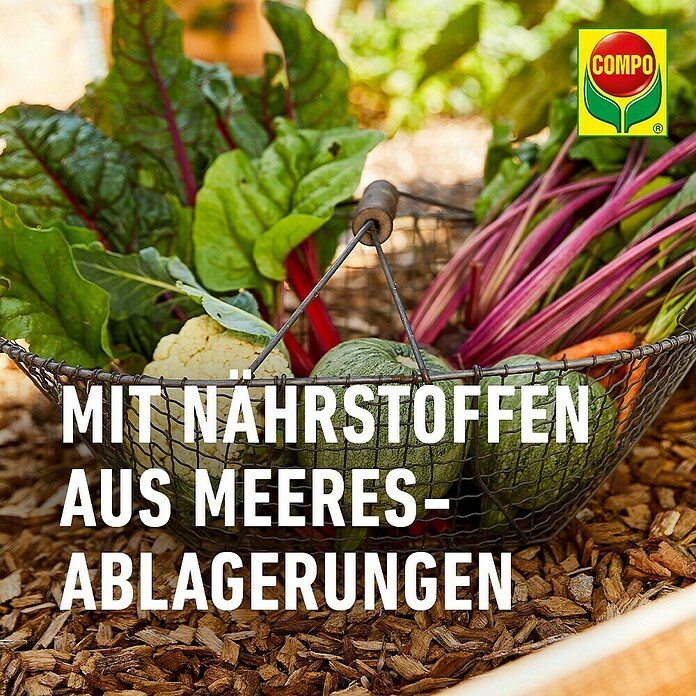 hanfpalme dngen ab wann Hanfpalmen-Dnger NPK 10-8-8