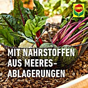 Compo Bio Universaldünger mit Guano (3 kg) | BAUHAUS