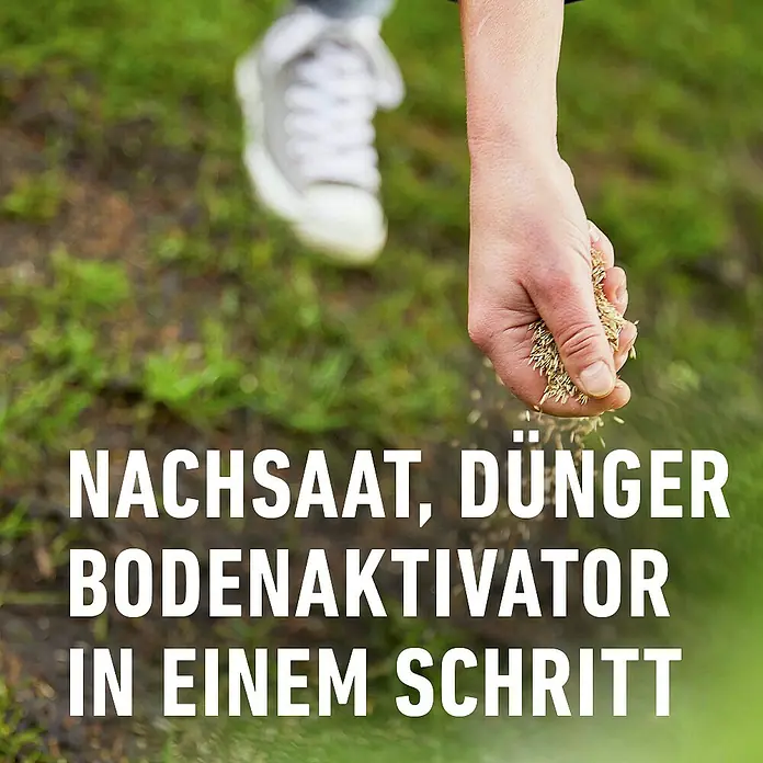 Compo Saat Rasensamen Vertikutier-Mix - 4 kg, 133 m² - Eine Hand streut Rasensamen und Dünger, Nachsaat, Dünger und Bodenaktivator in einem Schritt kombiniert.