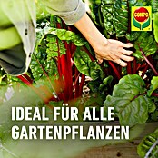 Compo Bio Universaldünger mit Guano (3 kg) | BAUHAUS