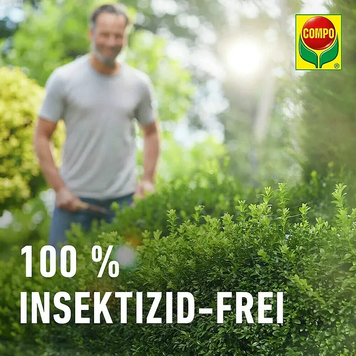 Compo Buchsbaumzünsler-Lockstoff - 4 Stk. - Verschwommener Mann schneidet grünen Busch mit Text '100% Insektizid-frei' und COMPO Logo.