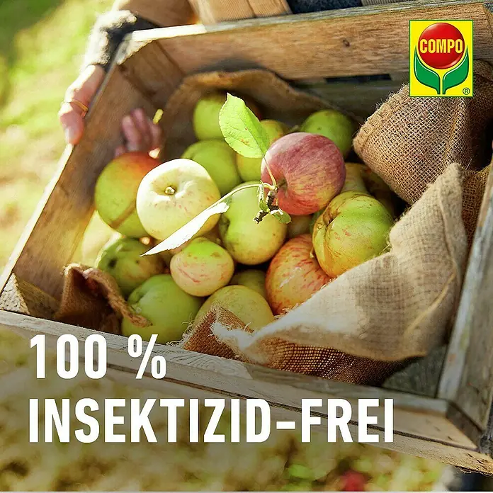 Compo Bio Apfelwickler-Lockstoff - 3 Stk. - Frische, insektizidfreie Äpfel in Holzkiste, mit Compo-Logo und „100% INSEKTIZID-FREI“-Text.