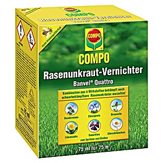 Compo Unkrautvernichter Banvel® Quattro (75 ml)