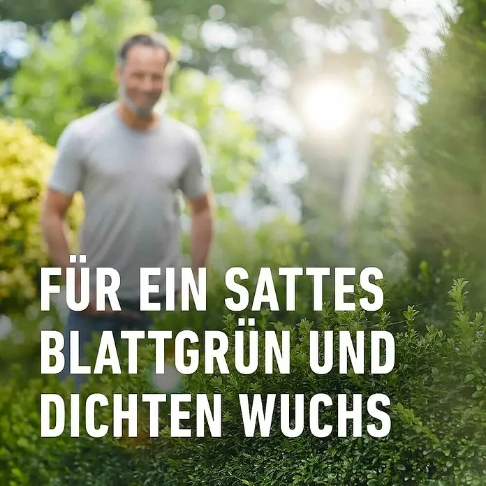 Compo Langzeitdünger Buchsbaum & Ilex - 2 kg - Text: Für ein sattes Blattgrün und dichten Wuchs.