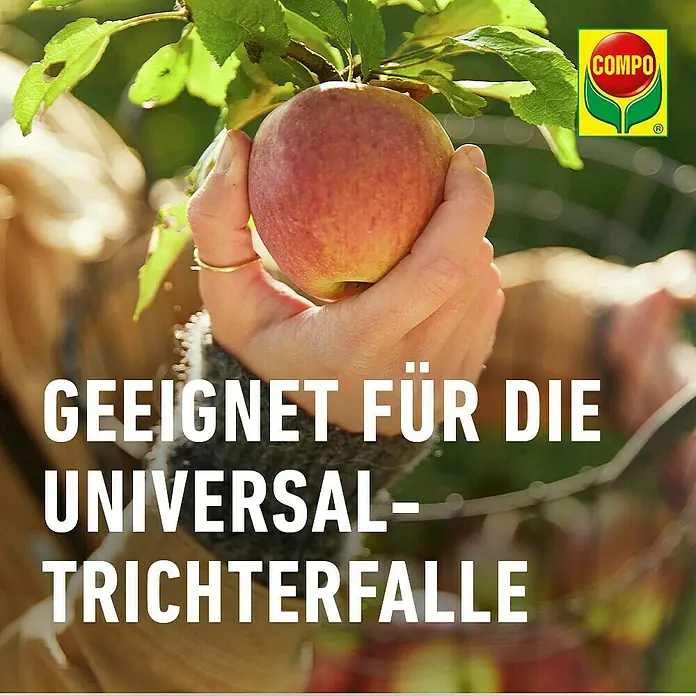 Compo Bio Apfelwickler-Lockstoff - 3 Stk. - Reifer Apfel am Zweig, ideal zur Schädlingsbekämpfung mit einer Universal-Trichterfalle.