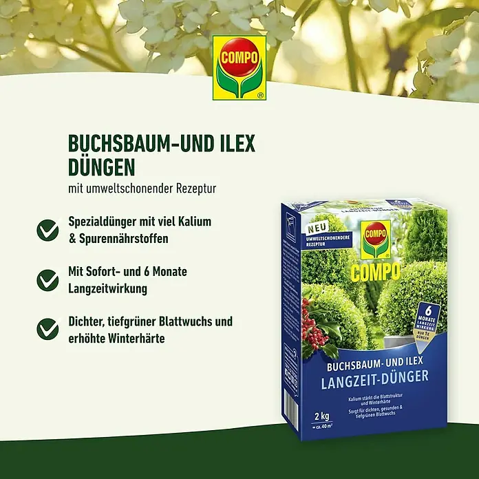 Compo Langzeitdünger Buchsbaum & Ilex - 2 kg - Compo Buchsbaum- & Ilex Langzeit-Dünger, blaue Packung mit Pflanzenmotiv, für dichten, grünen Wuchs & Winterhärte mit 6 Monaten Wirkung.