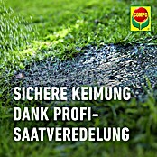 Compo Saat Rasensamen Schattenrasen (1 kg, 50 m²) | BAUHAUS
