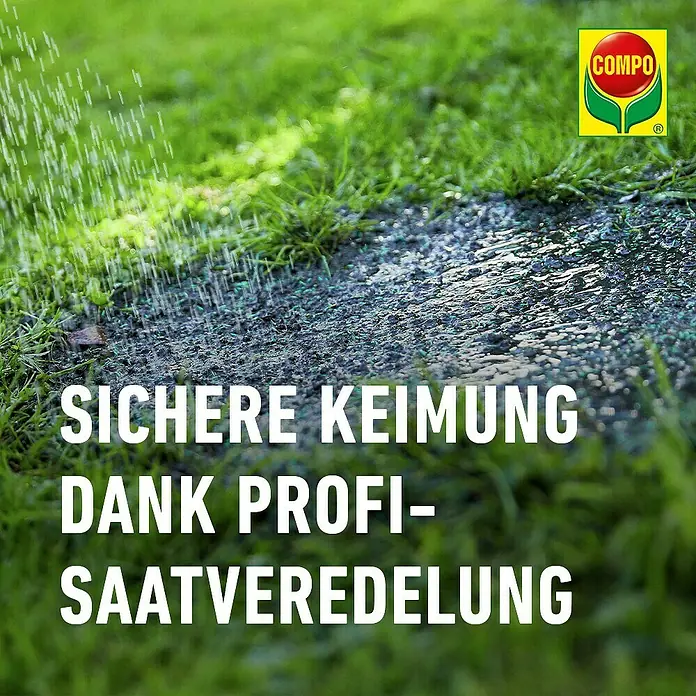 Compo Saat Rasensamen Schattenrasen - 1 kg, 50 m² - Neu ausgesäte Rasensamen auf Erde werden bewässert, was sichere Keimung durch professionelle Saatveredelung zeigt.