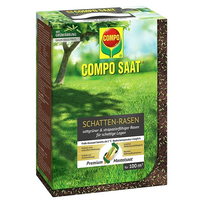 Compo Saat Rasensamen Schattenrasen (2 kg, 100 m²) | BAUHAUS