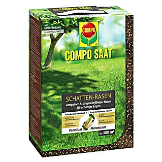Compo Saat Rasensamen Schattenrasen (2 kg, 100 m²)