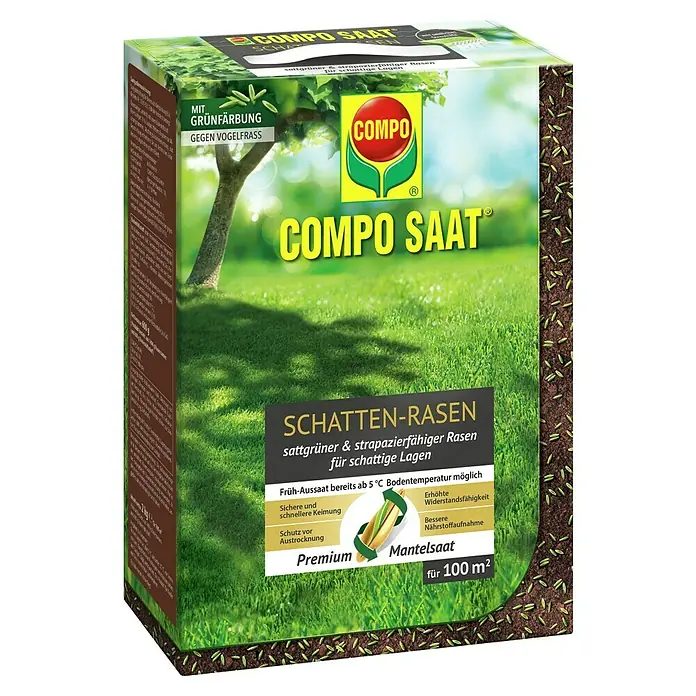 Compo Saat Rasensamen Schattenrasen - 2 kg, 100 m² - Schachtel Compo Saat Rasensamen für Schattenrasen, grün gefärbt gegen Vogelfraß, für 100 m².