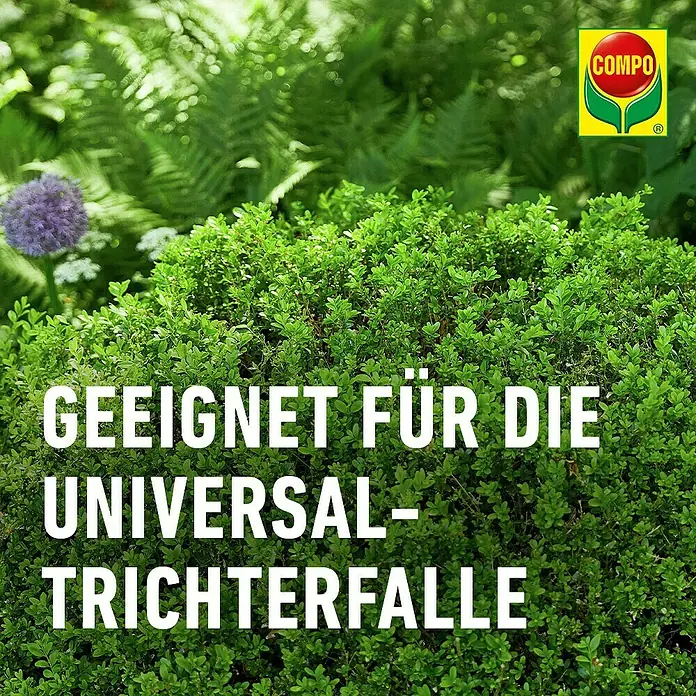 Compo Buchsbaumzünsler-Lockstoff - 4 Stk. - COMPO Produkt für Universal-Trichterfallen.