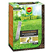 Compo Saat Semillas de césped (2 kg, 80 m²) | BAUHAUS