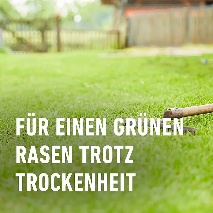 Compo Saat Rasensamen Trockenrasen - 2 kg, 80 m² - Grüner Rasen mit weißem Text: „Für einen grünen Rasen trotz Trockenheit.“
