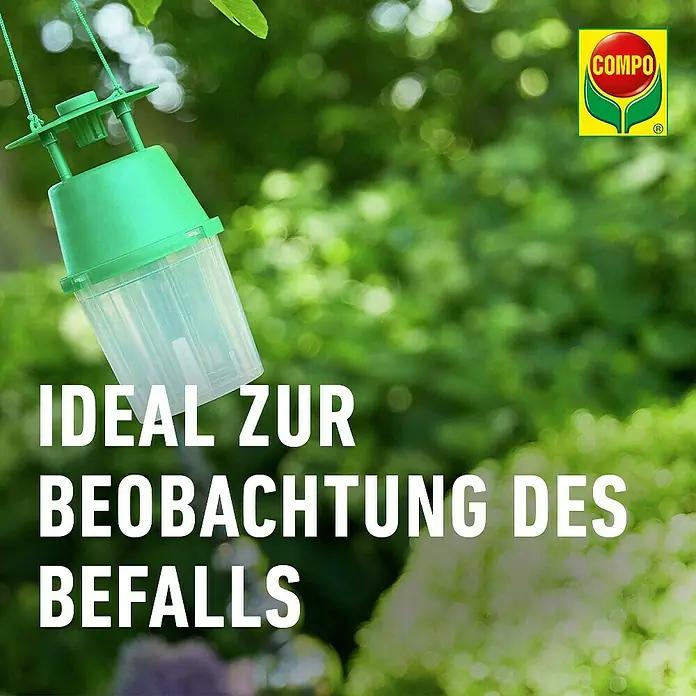 Compo Bio Pflaumenwickler-Lockstoff - 3 Stk. - Grüne und transparente Insektenfalle aus Kunststoff, hängt an einem Ast zur Befallsbeobachtung.