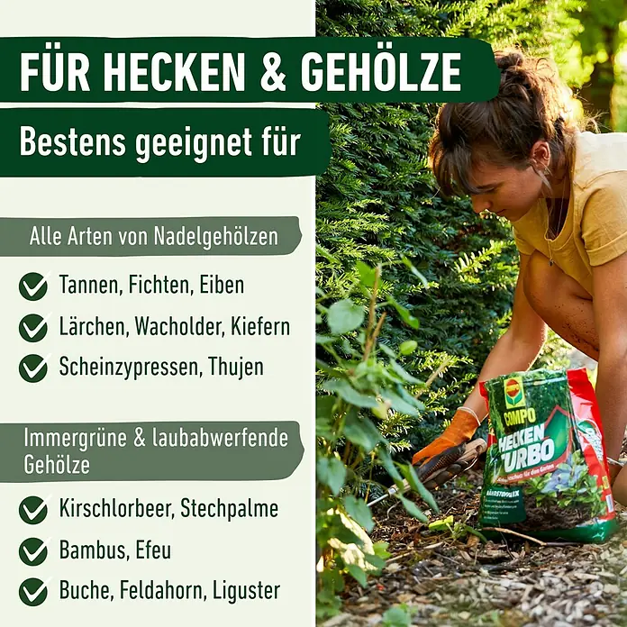 Compo Strauch- & Heckendünger Hecken Turbo - 4 kg - Frau düngt eine Pflanze im Garten mit COMPO HECKEN TURBO Dünger, geeignet für Hecken und Gehölze.