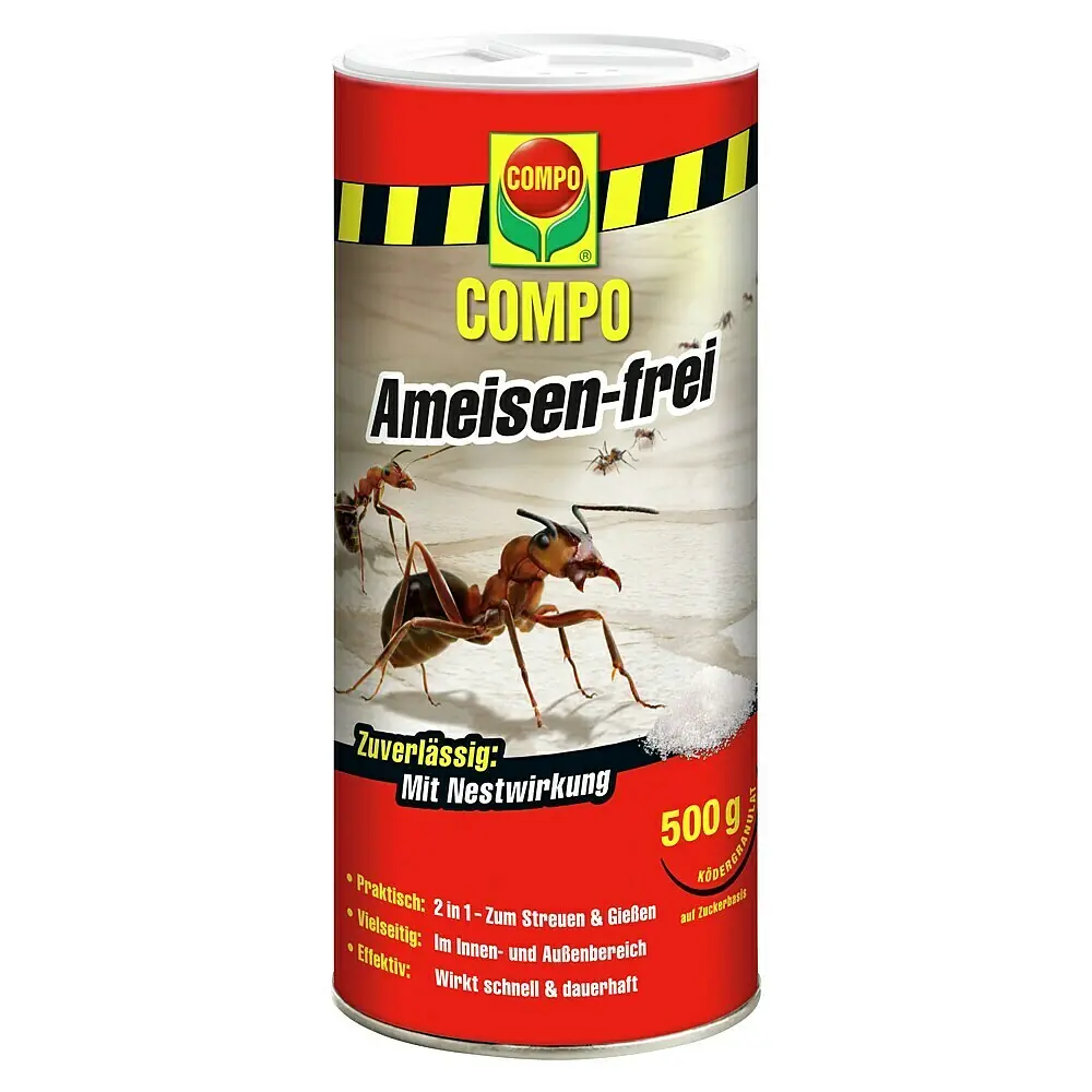 muschelingwer variegata Alpinia zerumbet 'variegata' (Muschelingwer)  Jungle Leaves
