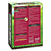 Compo Saat Rasensamen Strapazier-Rasen (2 kg, 100 m²) | BAUHAUS