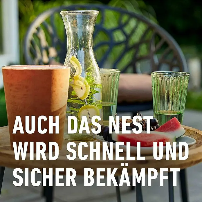 Compo Ameisen-Mittel Ameisen-frei - 500 g - Runder Holztisch für den Außenbereich mit Wasserkaraffe, Gläsern, Wassermelone und Trauben im Garten.