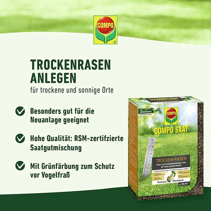 Compo Saat Rasensamen Trockenrasen - 2 kg, 80 m² - COMPO SAAT TROCKEN-RASEN Rasensamen für trockene & sonnige Orte, grün gefärbt zum Schutz vor Vogelfraß, RSM-zertifizierte Qualität für 80m².