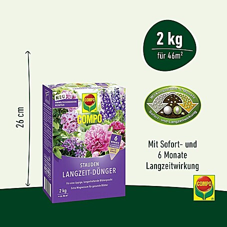 lilien als zimmerpflanze Blumenzwiebeln Mehrfarbige Lilien Mischung (x5) - Lilium main image 0