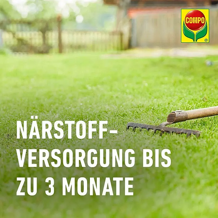 Compo Saat Rasensamen Reparatur-Mix - 1,2 kg, 50 m² - Rasenfläche mit Rechen, bewirbt COMPOs Langzeit-Nährstoffversorgung für bis zu 3 Monate.