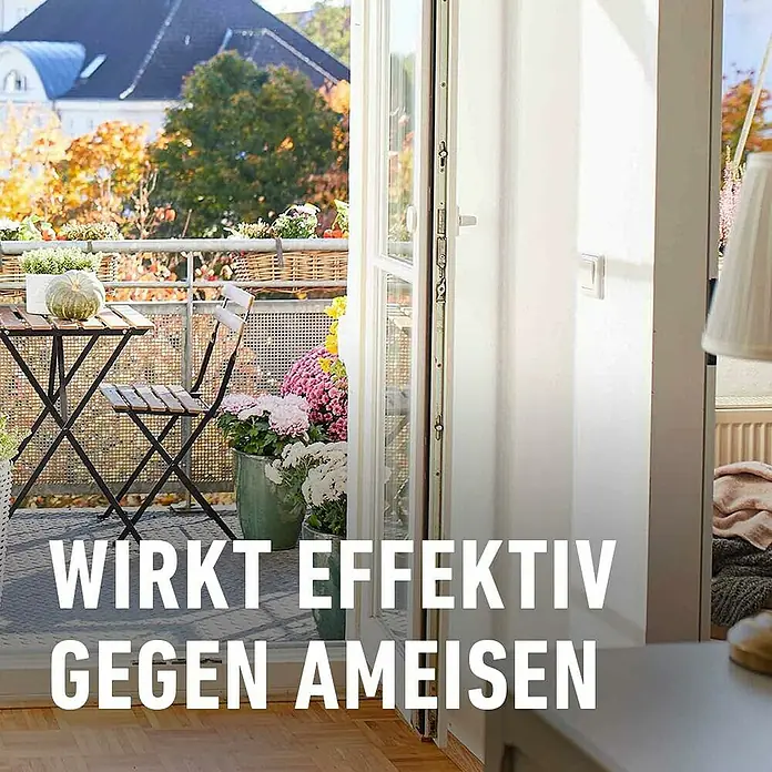 Compo Ameisen-Mittel Ameisen-frei - 500 g - Balkon mit Blumen und Möbeln. Text: 'WIRKT EFFEKTIV GEGEN AMEISEN'.